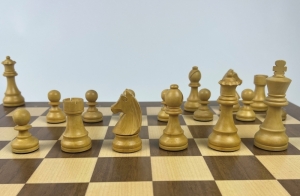 4.JPG