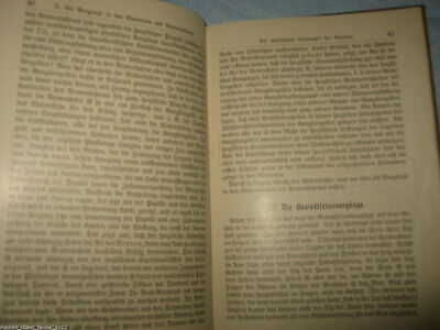 10811.Antique German Book: Die Mechanik des Geisteslebens. 1914