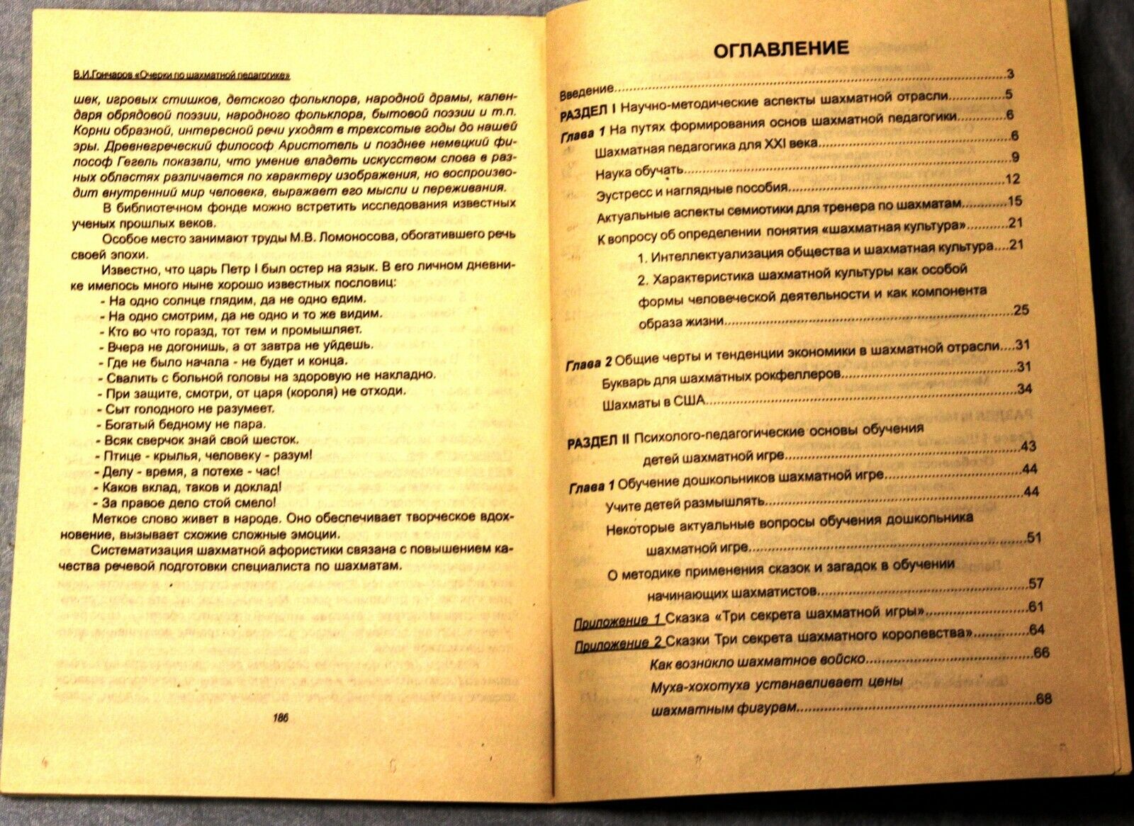 11487.Russian Chess Book. Essays on chess pedagogy. Naberezhnye Chelny, 2002